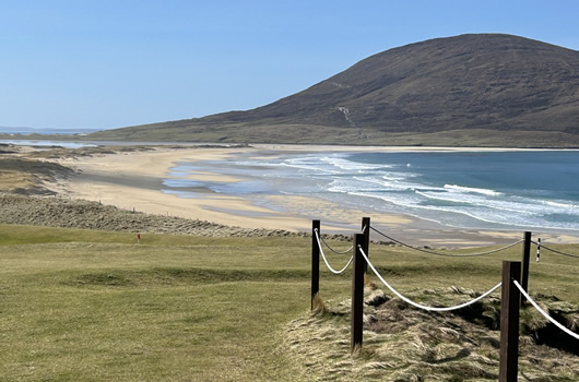 beech beside golf club on Isle of Harris